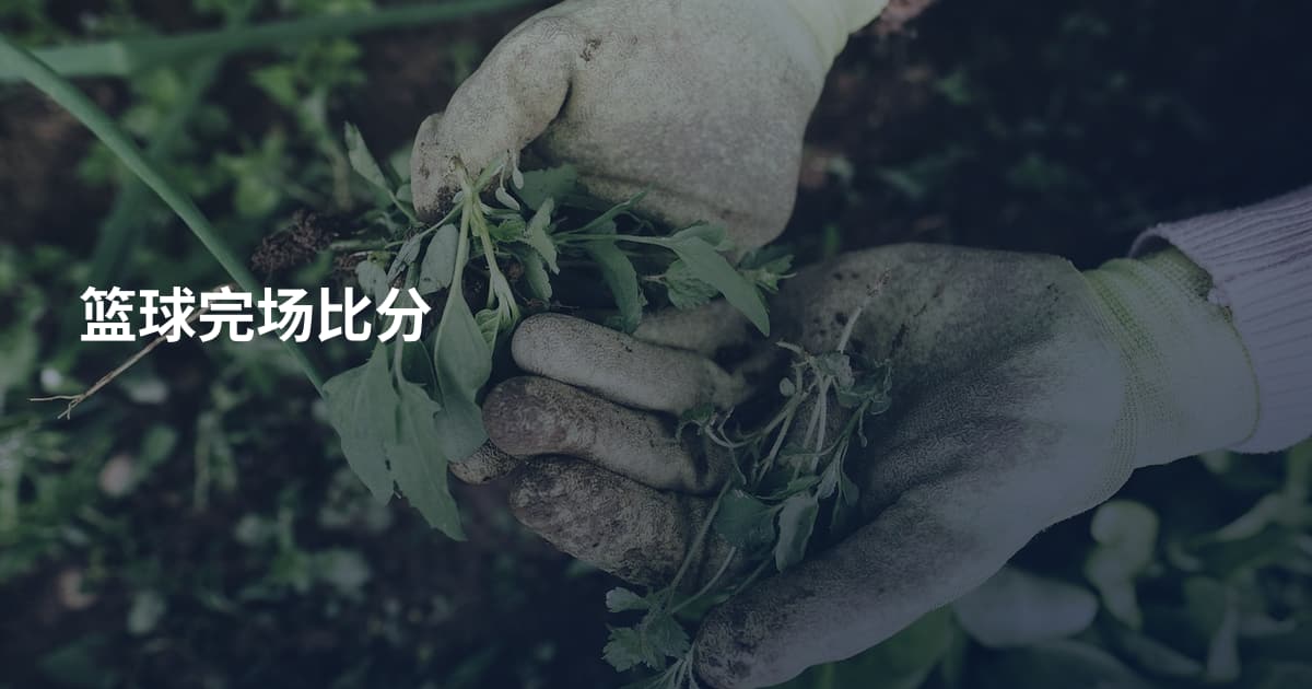 篮球完场比分