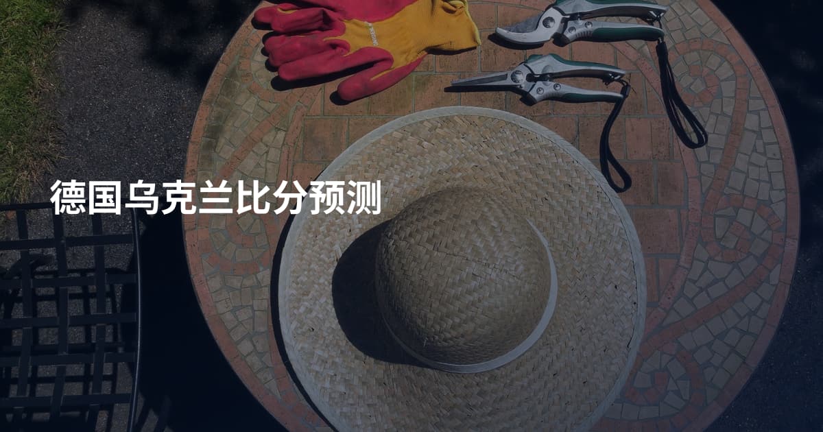 德国乌克兰比分预测