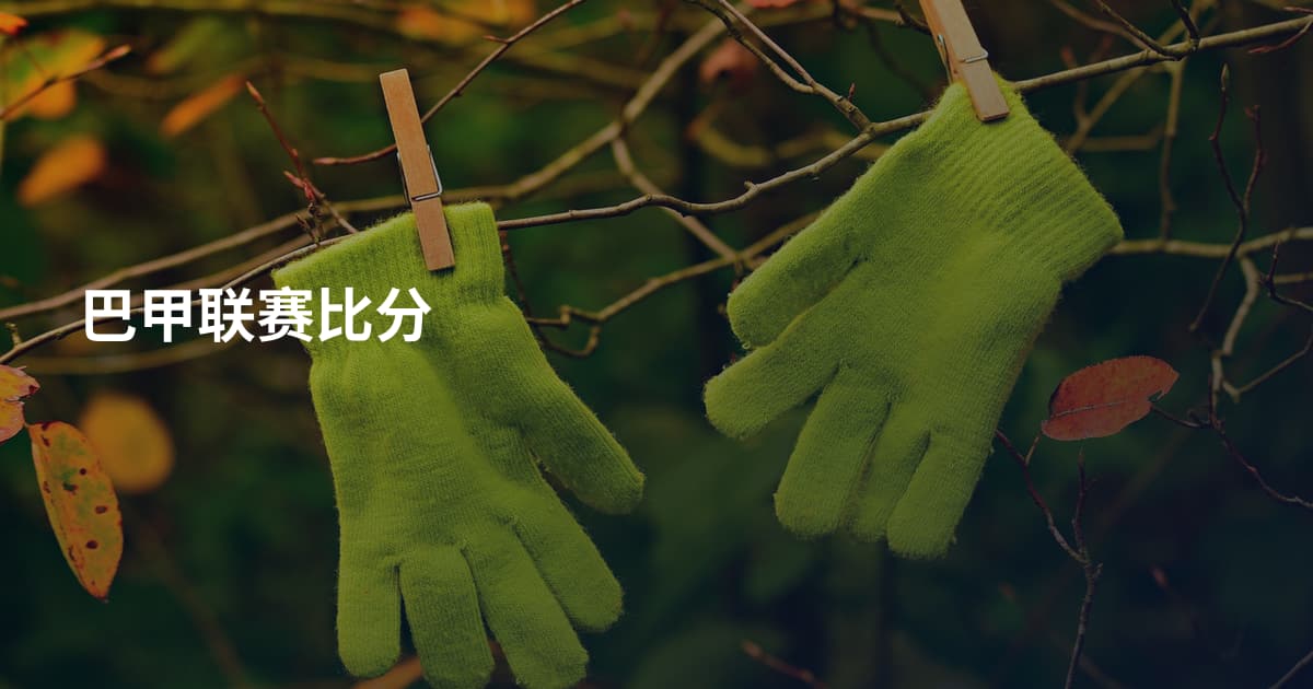 巴甲联赛比分
