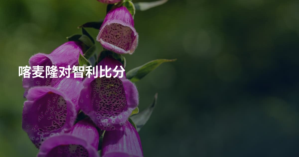 喀麦隆对智利比分