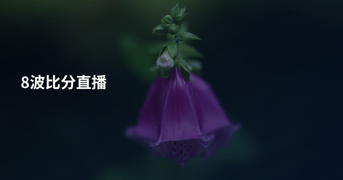 8波比分直播