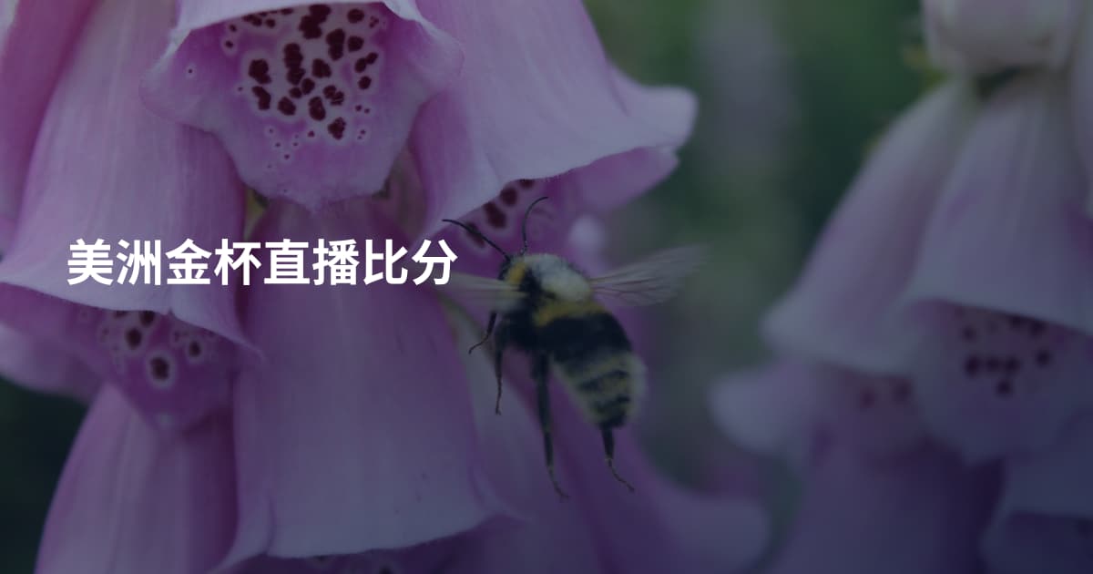 美洲金杯直播比分