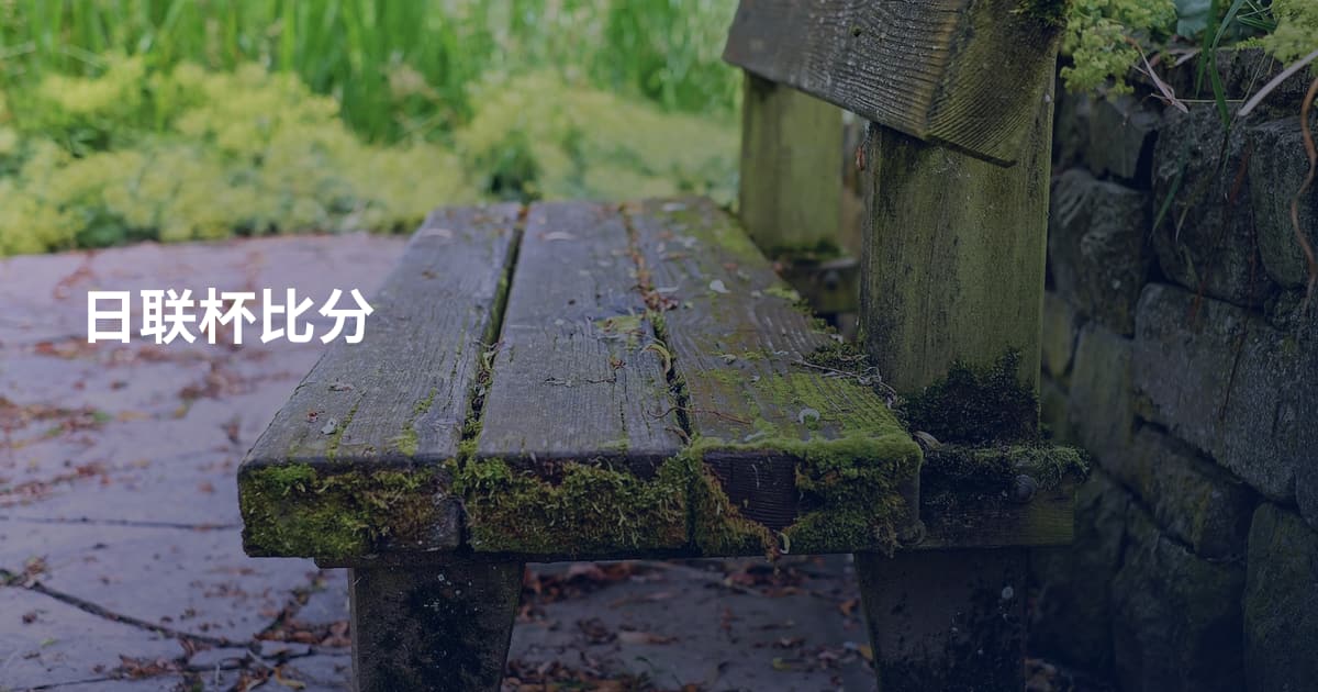 日联杯比分