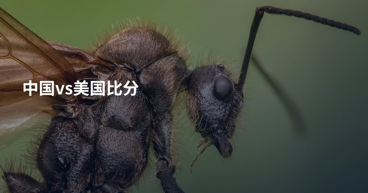 中国vs美国比分