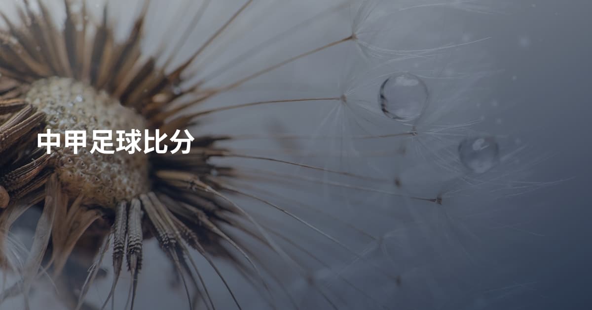 中甲足球比分