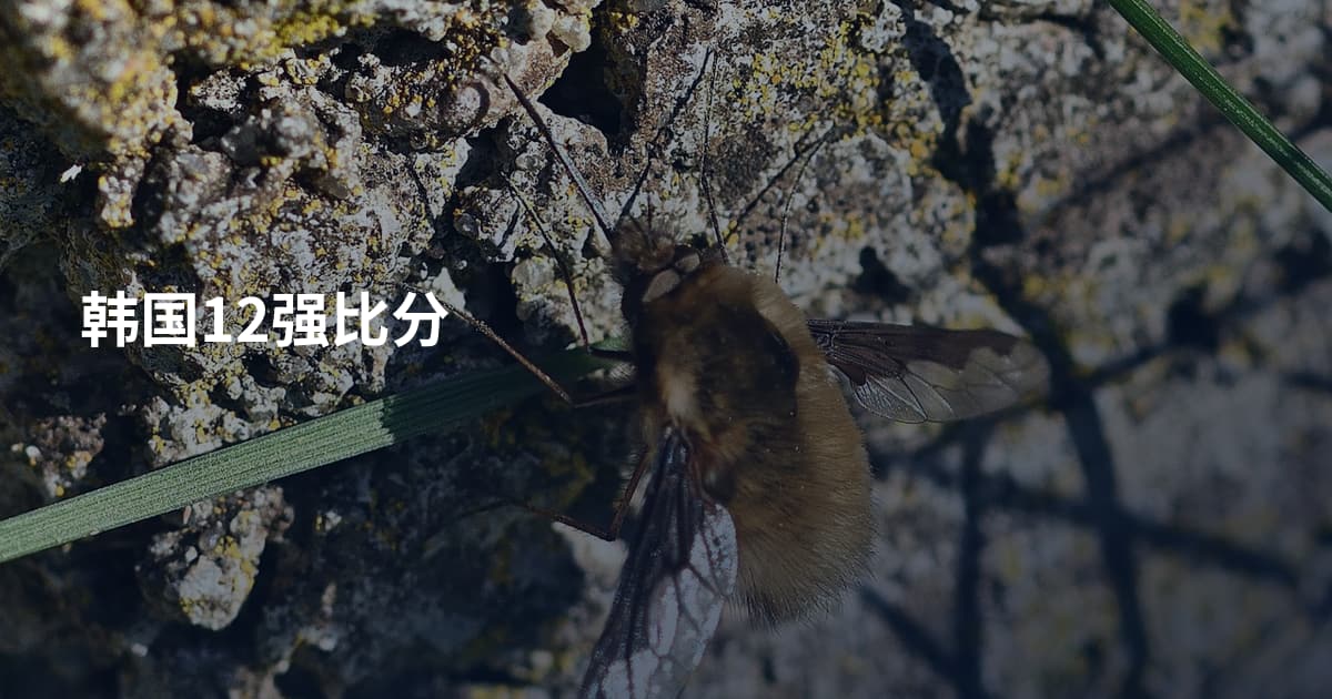 韩国12强比分