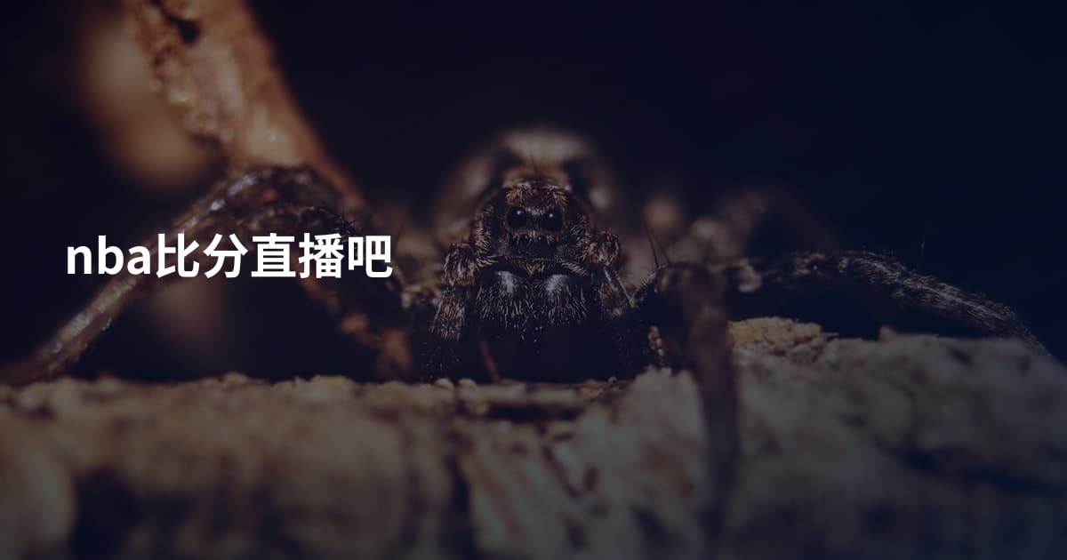 nba比分直播吧