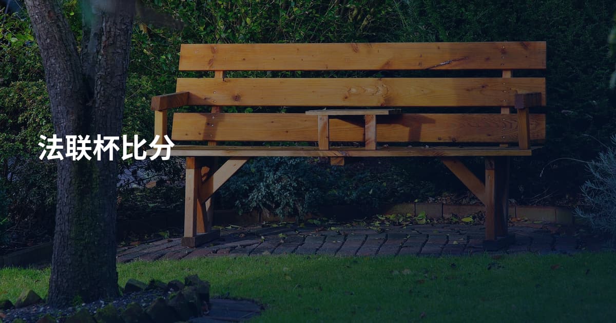 法联杯比分