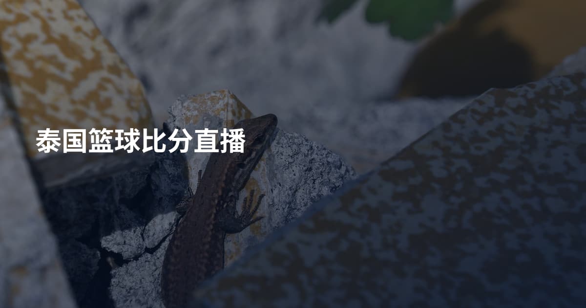 泰国篮球比分直播