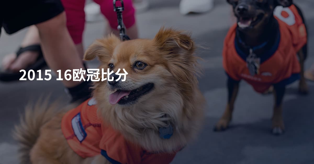 2015 16欧冠比分