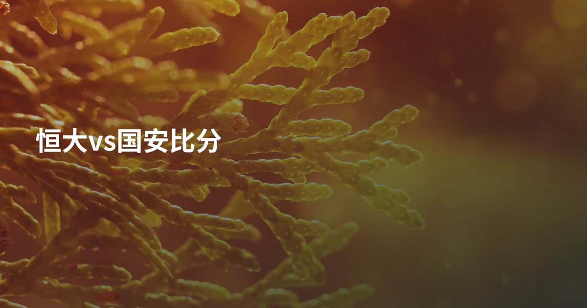 恒大vs国安比分