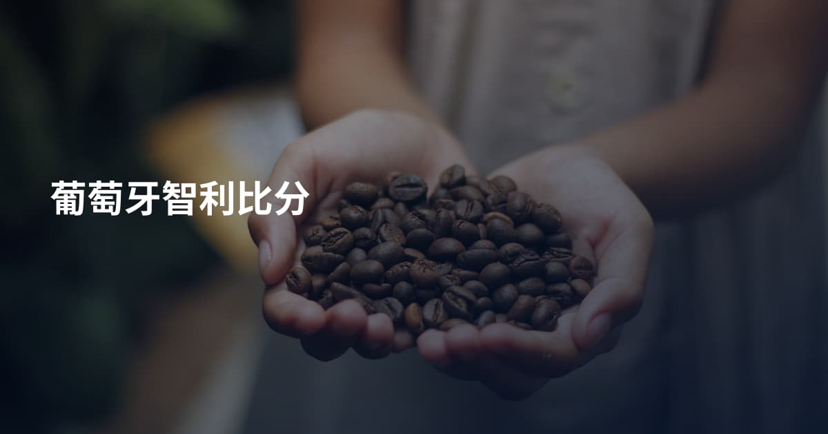 葡萄牙智利比分