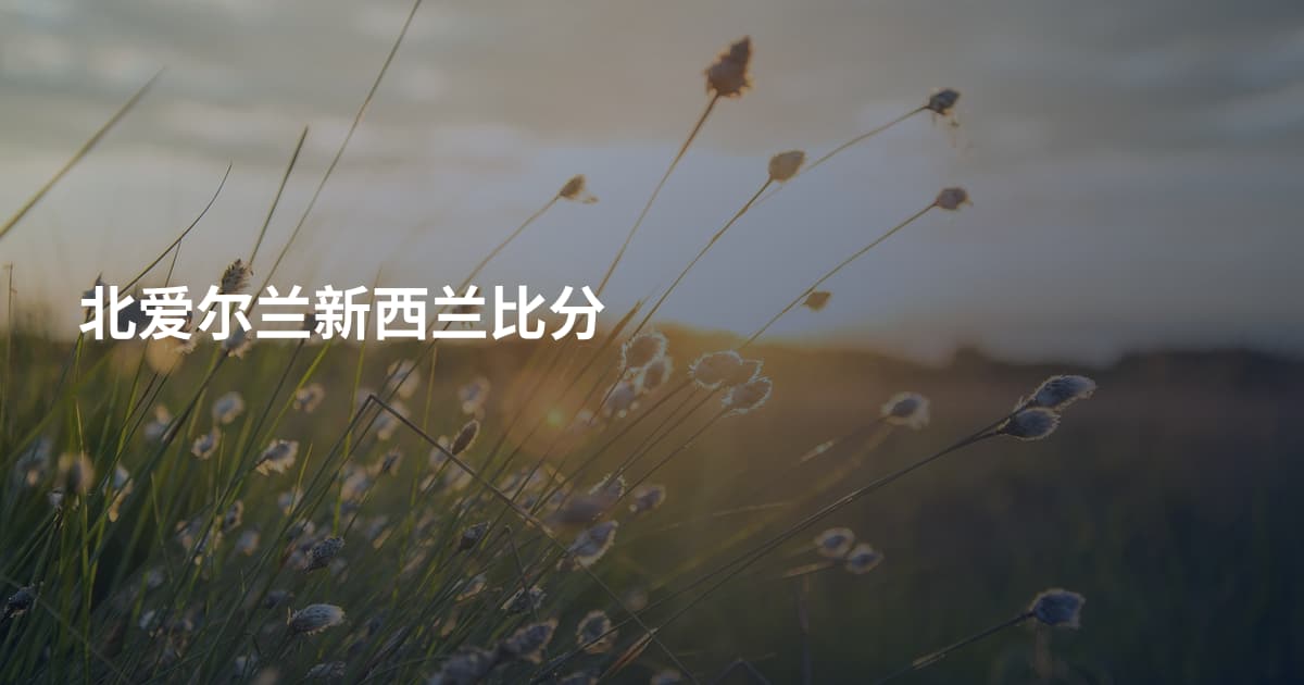 北爱尔兰新西兰比分