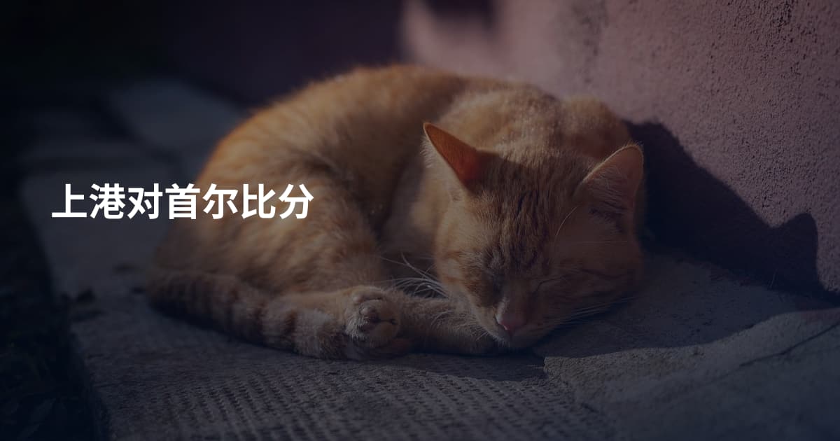 上港对首尔比分