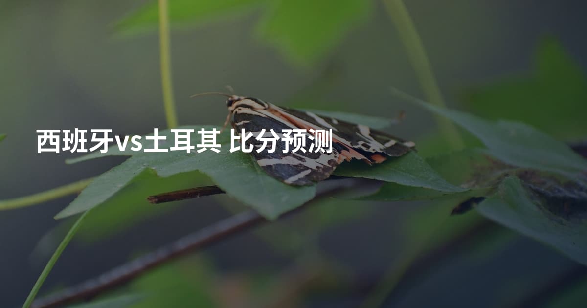 西班牙vs土耳其 比分预测
