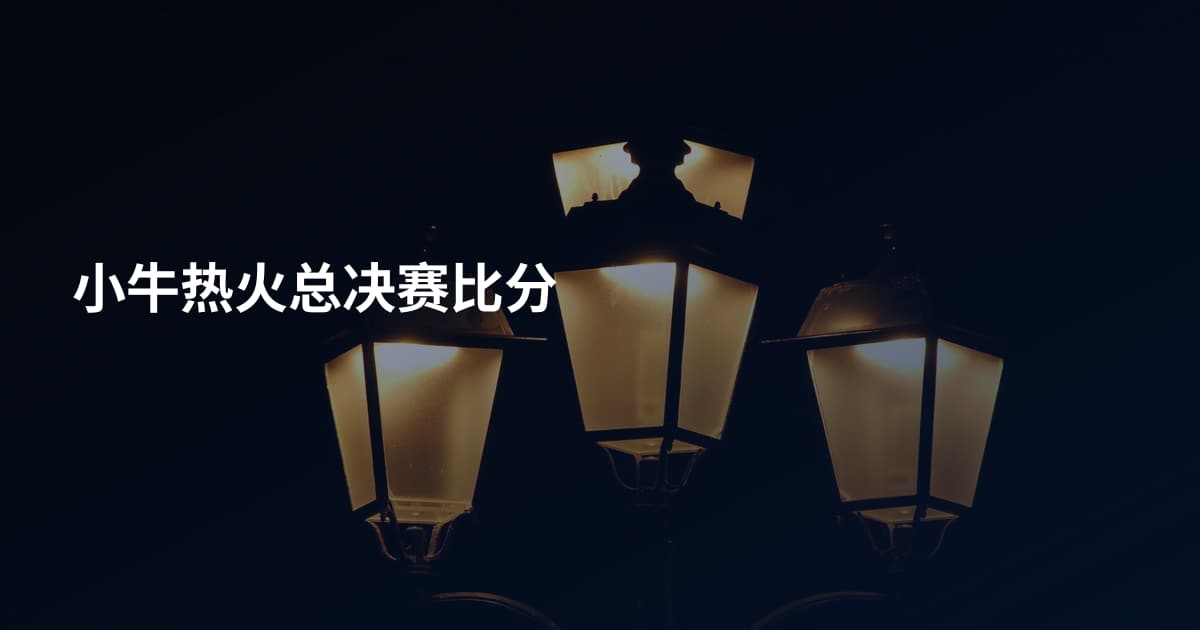 小牛热火总决赛比分