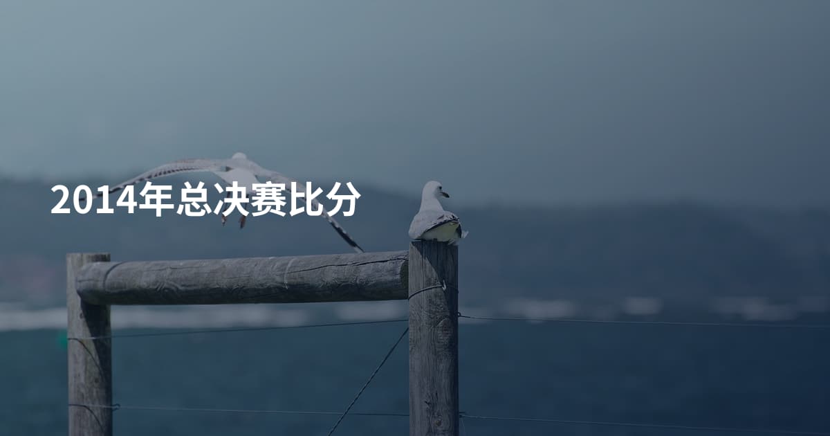 2014年总决赛比分