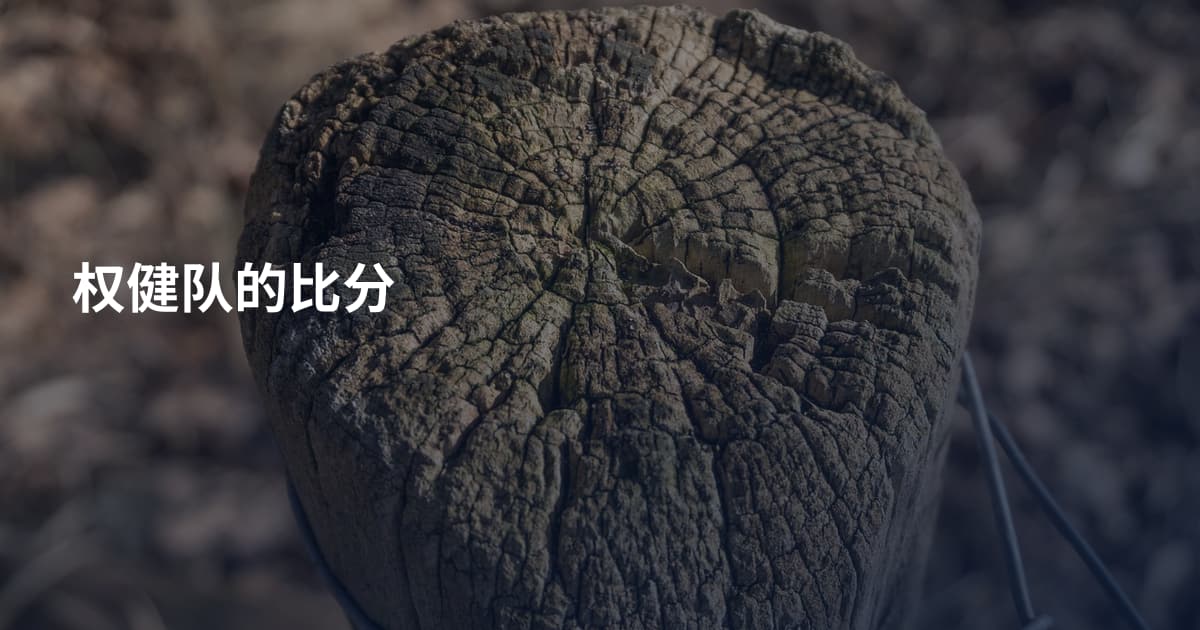 权健队的比分