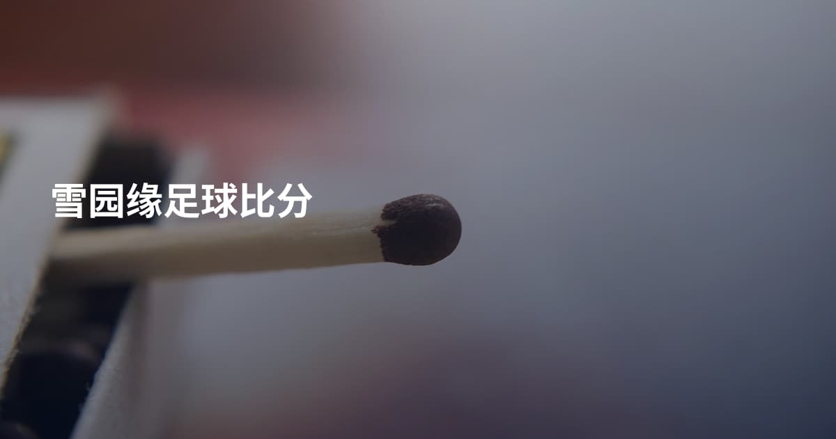 雪园缘足球比分