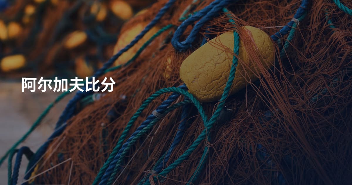 阿尔加夫比分