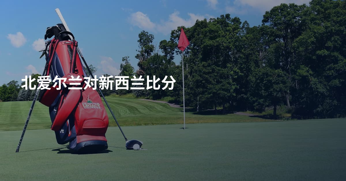 北爱尔兰对新西兰比分
