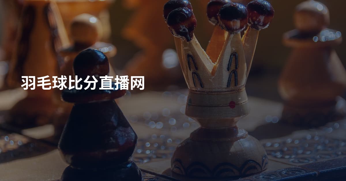 羽毛球比分直播网