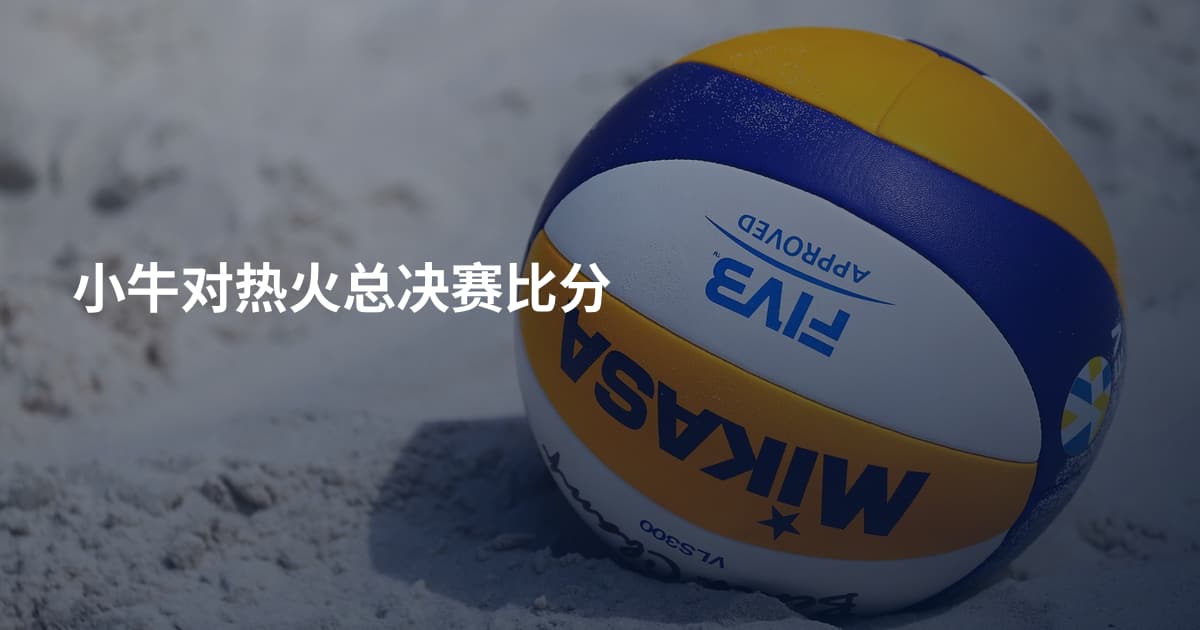 小牛对热火总决赛比分