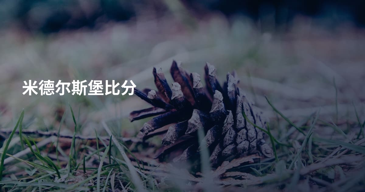 米德尔斯堡比分