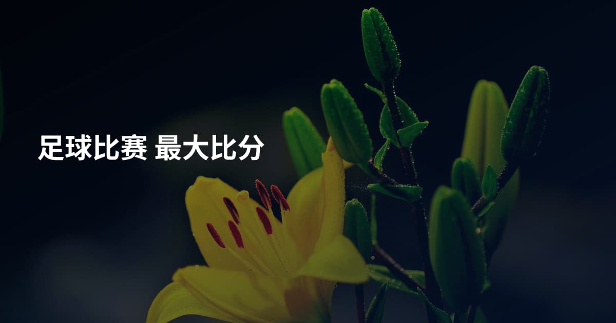 足球比赛 最大比分