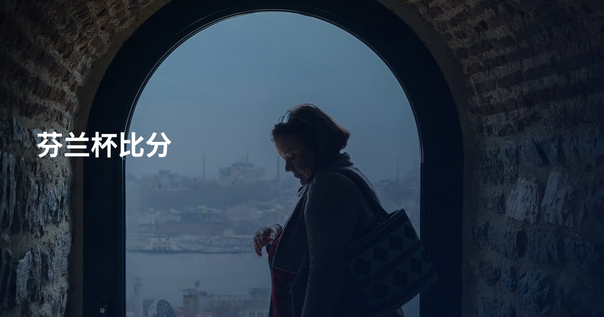 芬兰杯比分