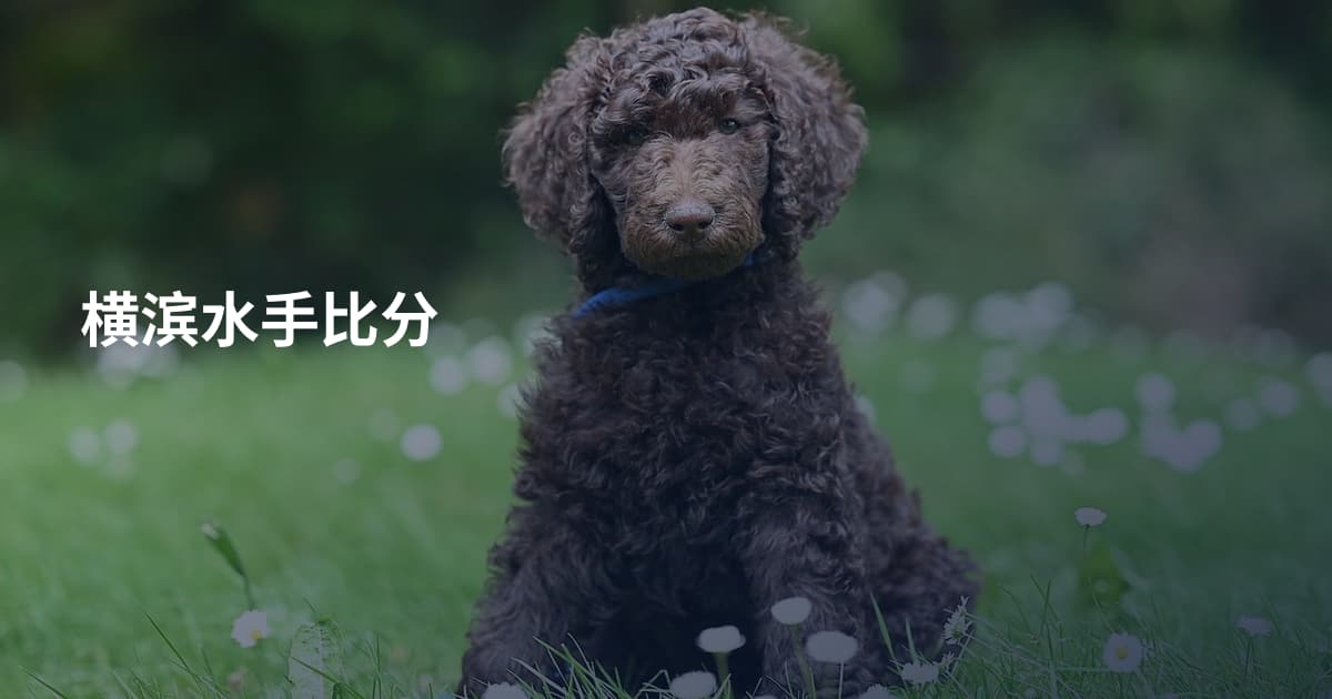 横滨水手比分