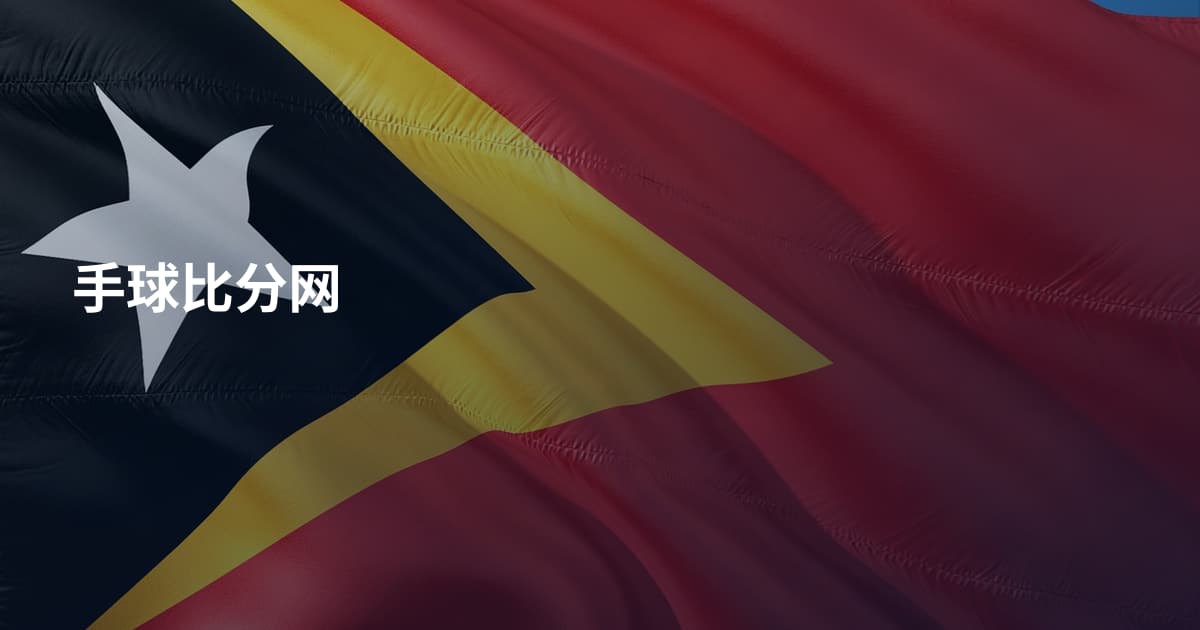 手球比分网