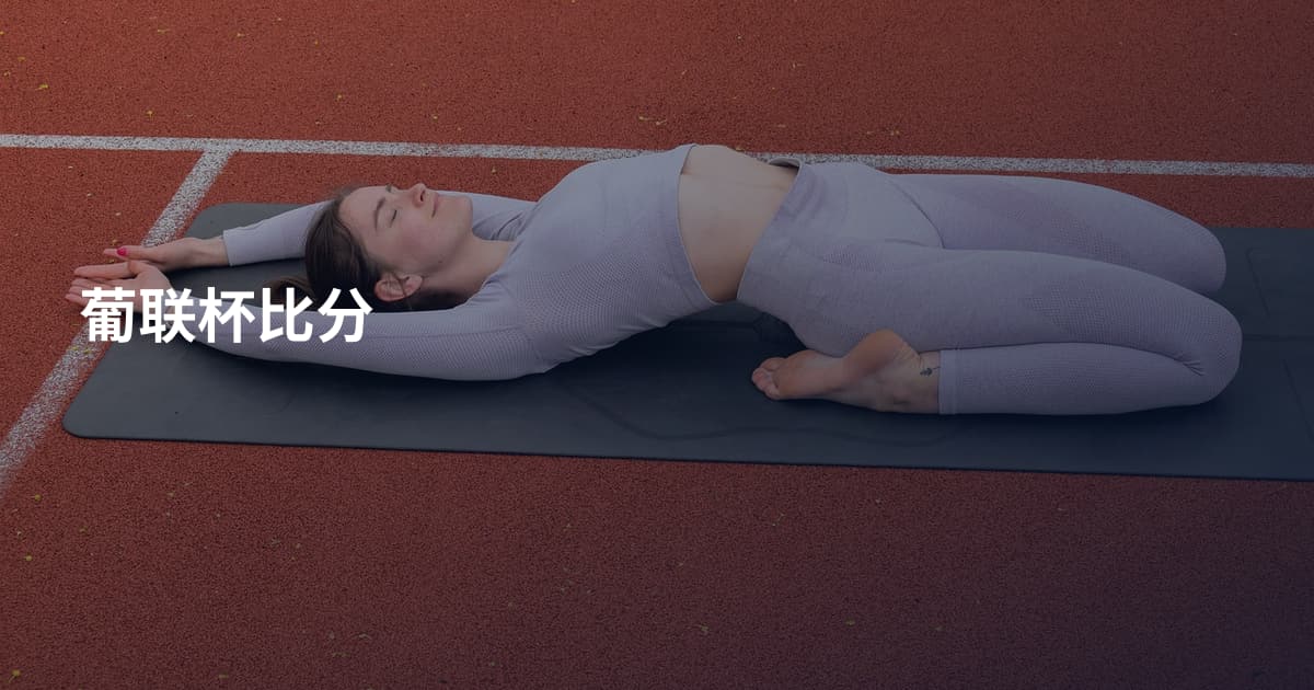 葡联杯比分