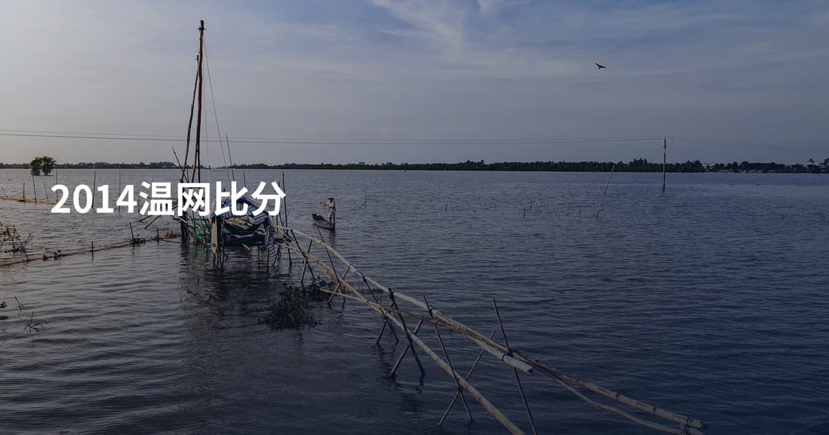2014温网比分