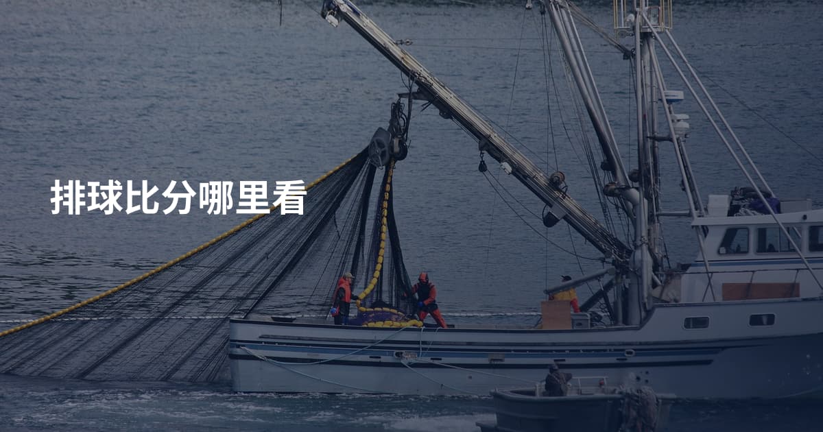 排球比分哪里看
