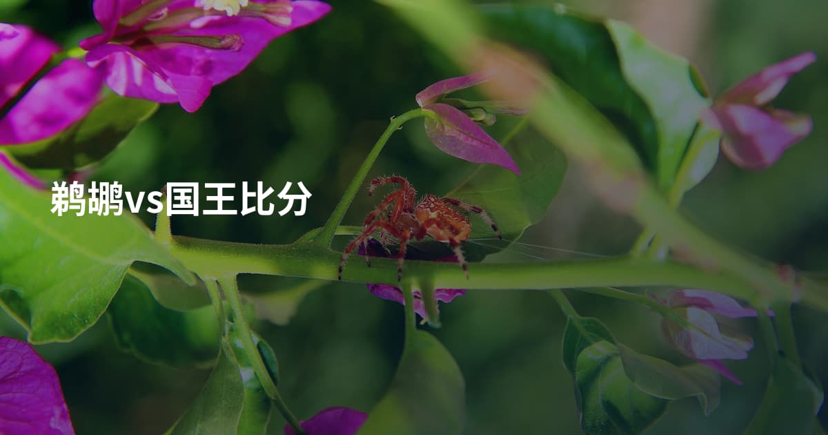 鹈鹕vs国王比分