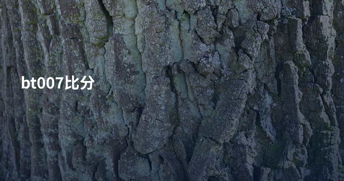 bt007比分