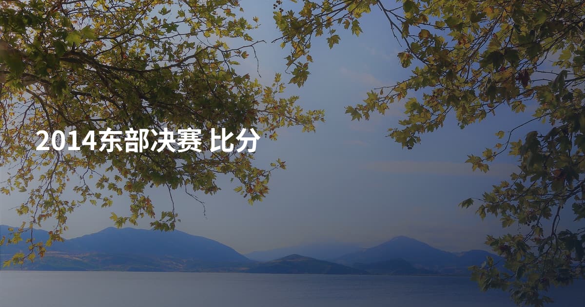 2014东部决赛 比分