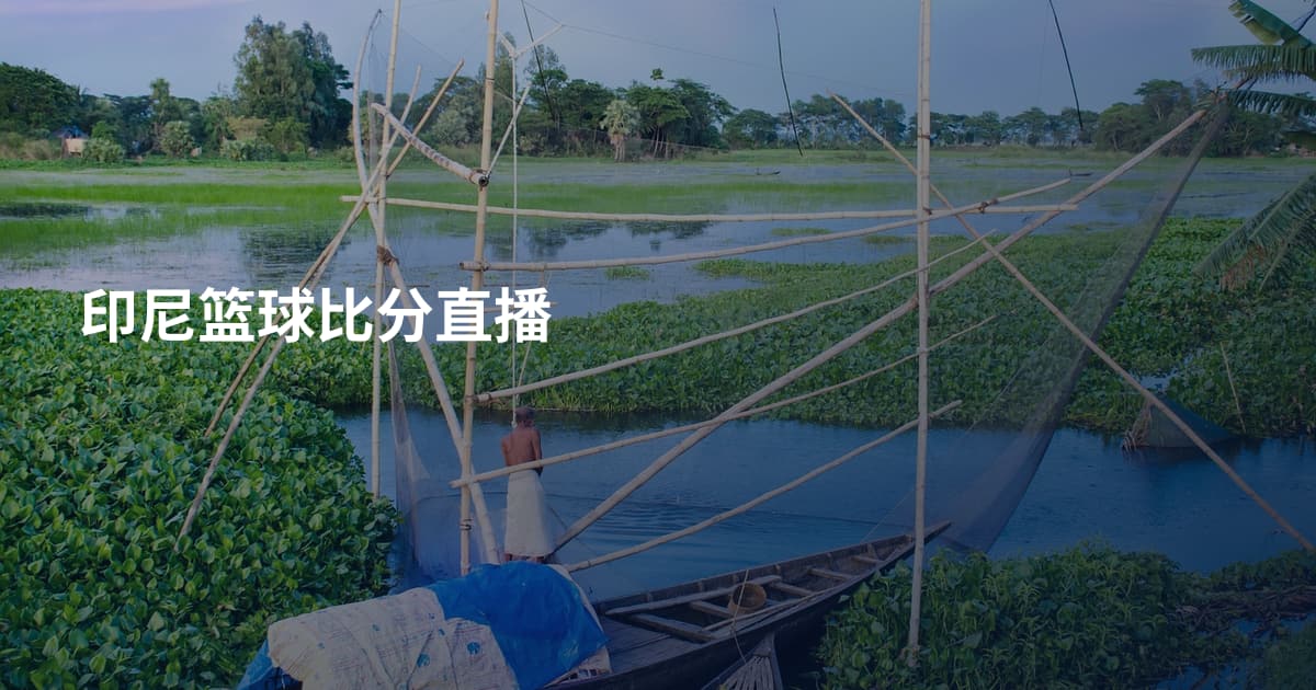 印尼篮球比分直播