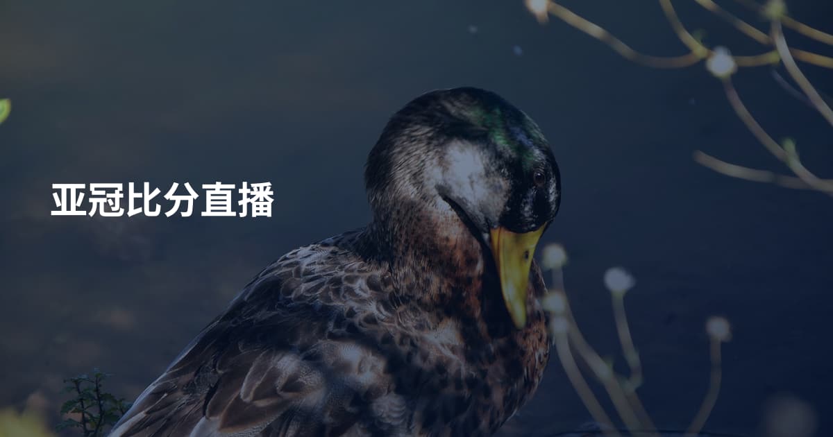 亚冠比分直播