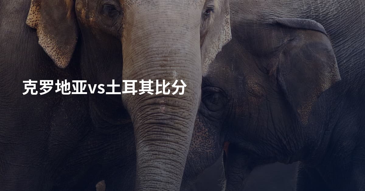 克罗地亚vs土耳其比分