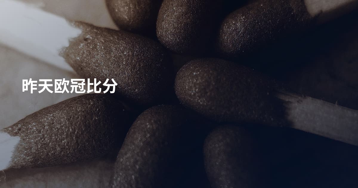 昨天欧冠比分