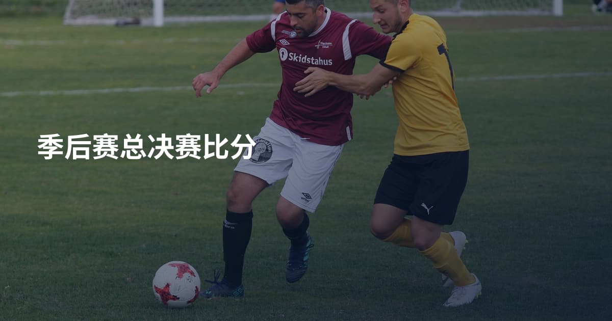 季后赛总决赛比分