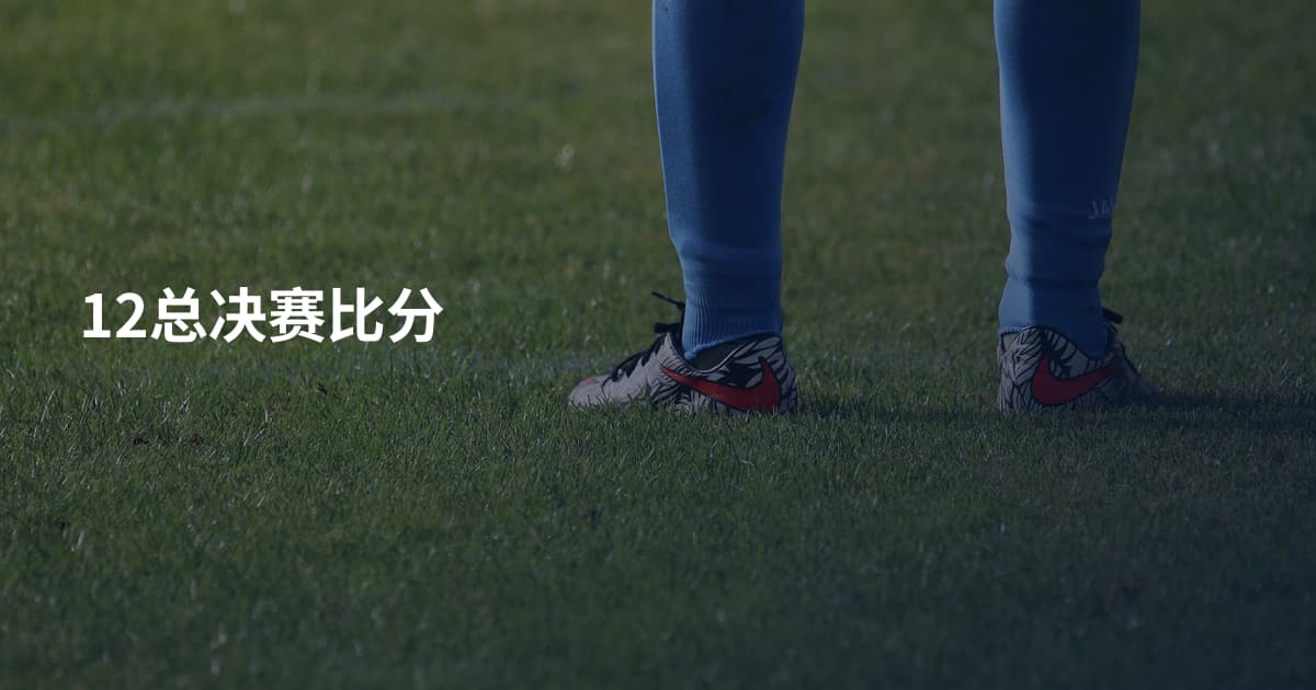 12总决赛比分