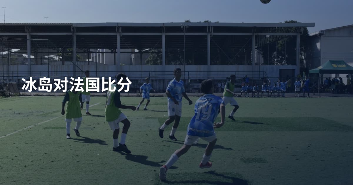 冰岛对法国比分