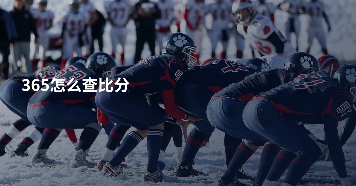 365怎么查比分