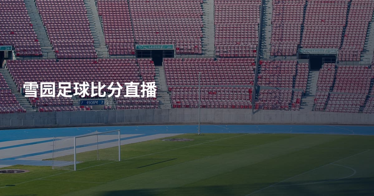 雪园足球比分直播