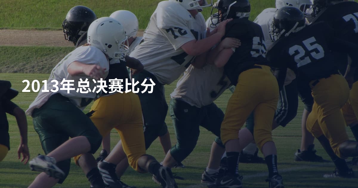 2013年总决赛比分