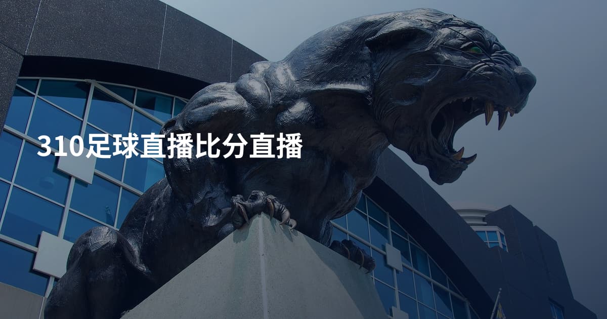 310足球直播比分直播