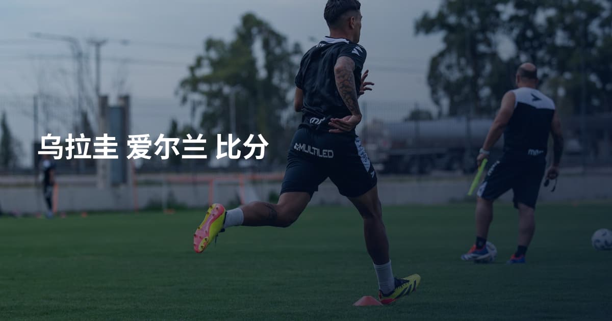 乌拉圭 爱尔兰 比分